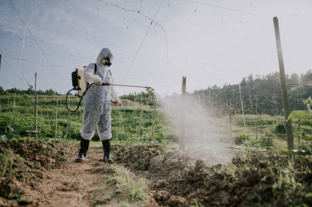 Best Mosquito Control Services  in Florence, SC