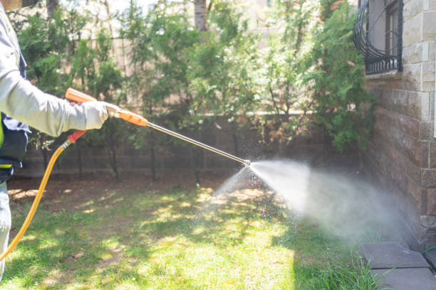 Best Wasp Removal Services  in Florence, SC