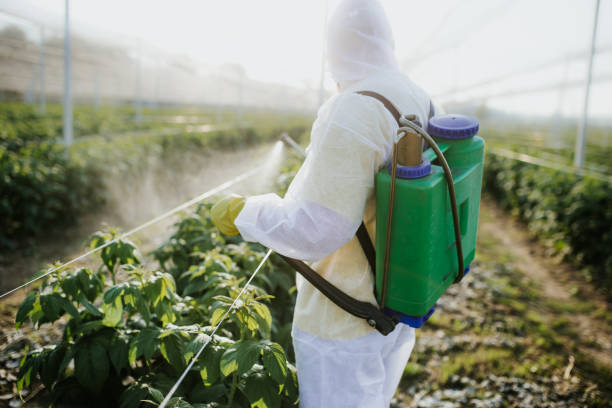 Best Wildlife Control Services  in Florence, SC